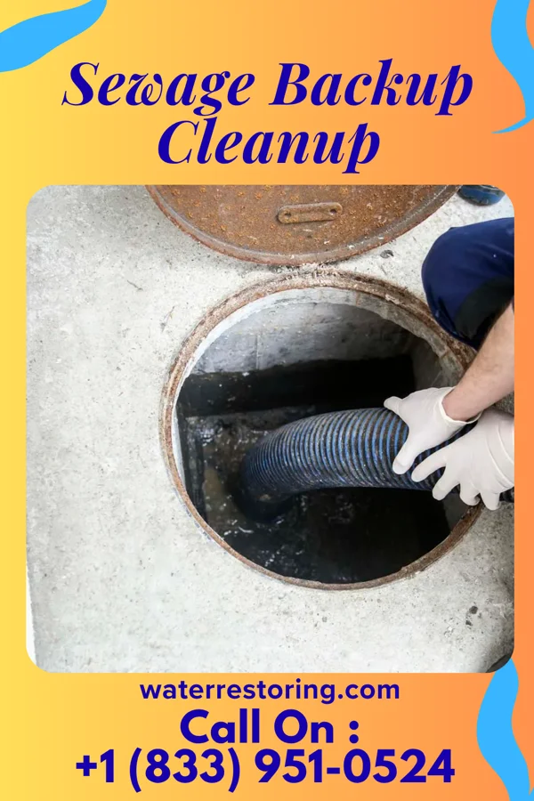 Sewage Backup Cleanup in Collinwood, TN
