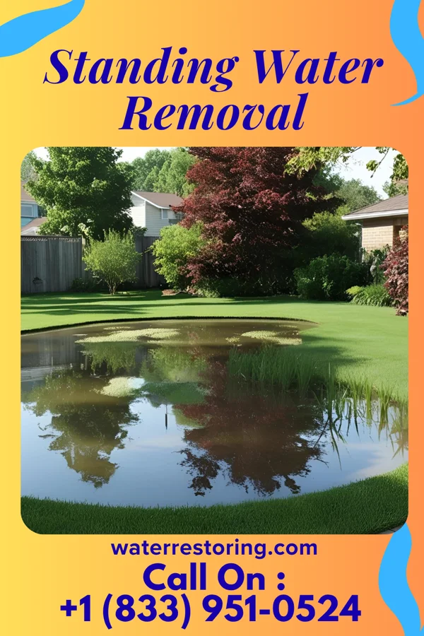 Standing Water Removal in Collinwood, TN